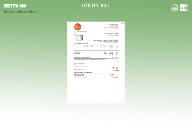 Модерен стил Шаблон за страници за сметки за комунални услуги на Нов Зеланд Ge 1